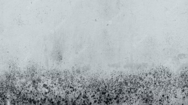 obiectul din baie care favorizeaza aparitia mucegaiului nu te ai gandit niciodata la asta