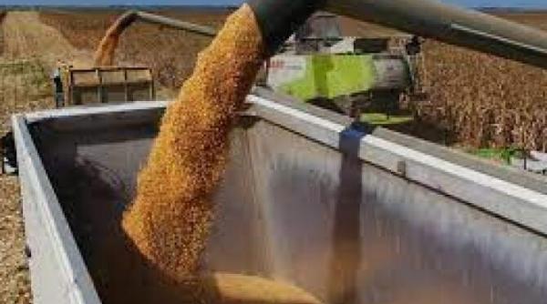 rusia doneaza grau cubei kremlinul ofera 25 000 tone de urgenta cu scopul aprofundarii relatiilor