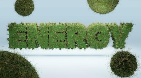 legislatia bat o vina biomasa cea mai ieftina sursa de energie se duce si se ntoarce in parlament inventatorul roman hornet acuza acte de tradare video