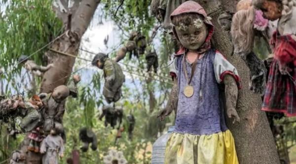 povestea terifianta din spatele insulei papusilor din mexic misterul a fost in sfarsit rezolvat