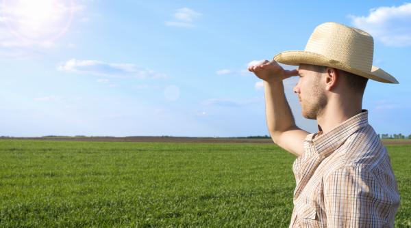 revine programul 50 de hectare pentru tinerii fermieri