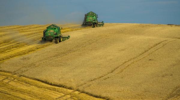 ungaria controleaza strict cerealele din ucraina care se blocheaza in europa producatorii ungari romani polonezi si bulgari neputinciosi