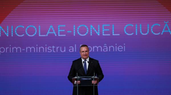 premierul nicolae ciuca mesaj de ziua nationala constantin brancusi