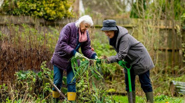 locuitorii unui oras din romania vor putea iesi la pensie cu doi ani mai devreme