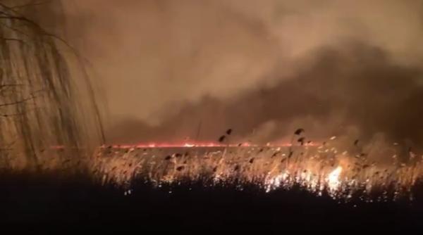 incendiu in delta in zona murighiol