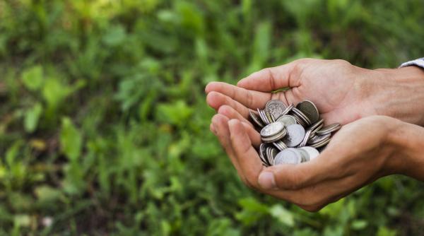 adeverinta apia obligatorie pentru crescatorii de animale