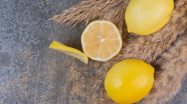 arunci semintele de lamaie patru moduri ingenioase de a le folosi in casa si gradina