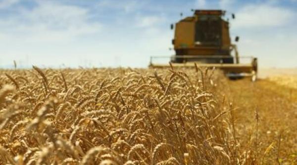 geoana declaratii transante contributia in pib a agriculturii romanesti ar putea creste de patru ori