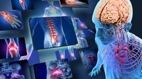 un organ indispensabil si crucial pentru supravietuirea noastra