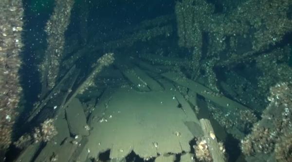 descoperire whisky vechi de 170 de ani si monede de aur milioane de dolari descoperite printre epave