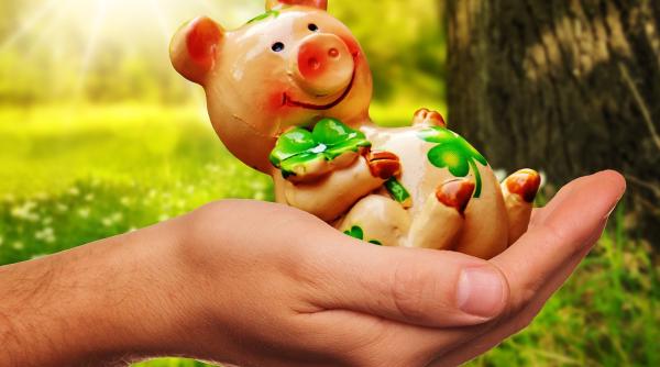 amulete caprifoi potcoave superstitii false iata singurul secret pentru a deveni mai norocosi