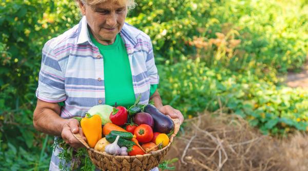 fonduri europene pentru legumicultori in 2023 cati bani pot primi unii fermieri