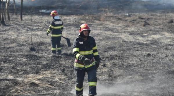 incendiu de proportii in tulcea aproape 30 de hectare au ars