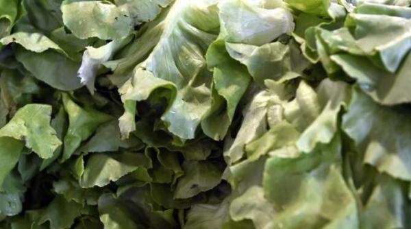 preotul negoita ponturi pentru dieta sacra ce trebuie sa mananci pentru a fi sanatos nu are rost sa dai banii pe nazdravanii