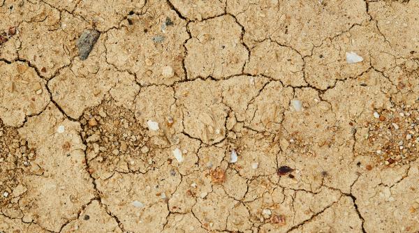 seceta pedologica in trei regiuni din romania situatie grea pentru agricultura