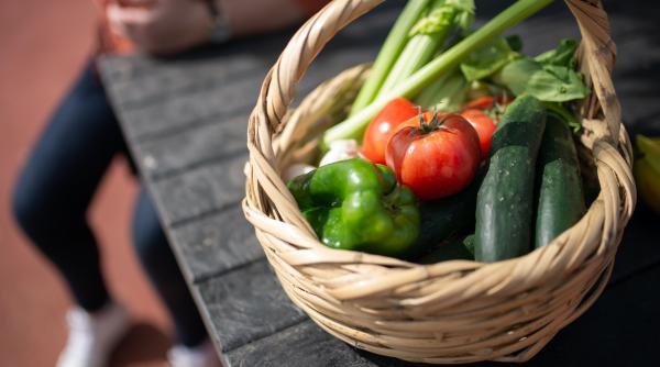 cum ne a distrus productia locala importul de legume din olanda bulai e un important factor al pagubirii societatii romanesti