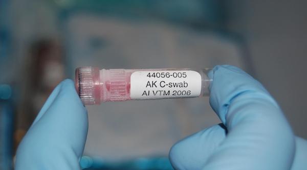 gripa aviara mult mai mortala decat coronavirusul spune un epidemiolog ce ne tine in siguranta