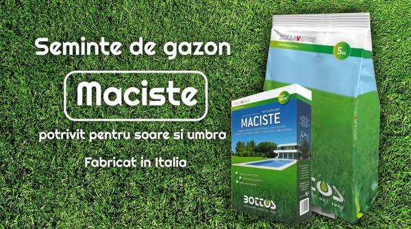 de ce este important sa alegeti semintele potrivite pentru gazon