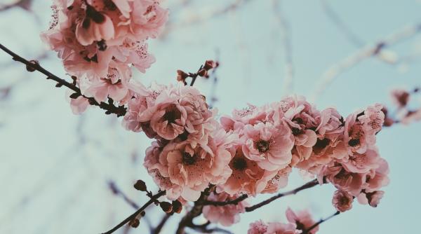 calendar crestin ortodox sarbatoare 7 martie 2023