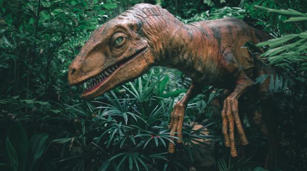 au fost descoperite vene de dinozaur cu sange pe ele vechi de 80 de milioane de ani