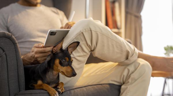 a crezut ca a cumparat un caine dar a avut un soc cand a aflat ce animal isi luase de pe internet