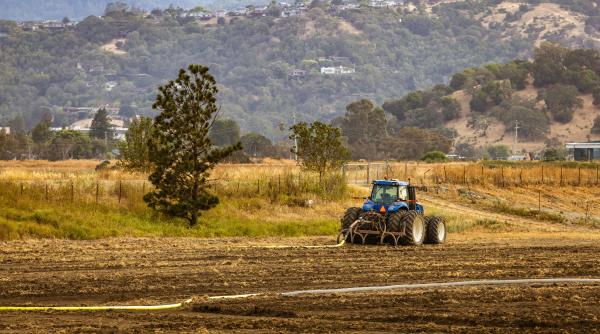 cine sunt noii proprietari de terenuri care acapareaza pamant in europa romania data ca exemplu