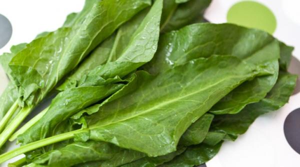 de ce e bine sa mancam stevie