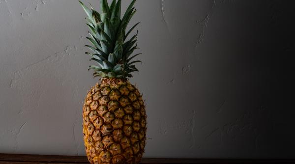 sibiu ananasul cultivat acum mai bine de 200 de ani de brukenthal in transilvania