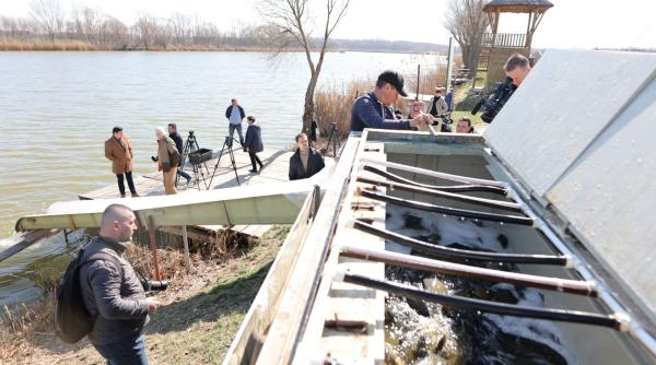 costel fotea balta zatun a fost populata cu peste