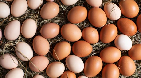 ouale s au scumpit mai mult in romania decat in ue