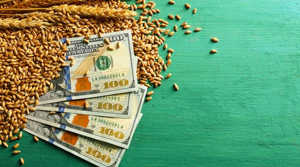 zile negre pe piata cerealelor preturile s au prabusit pana la nivelul din 2021