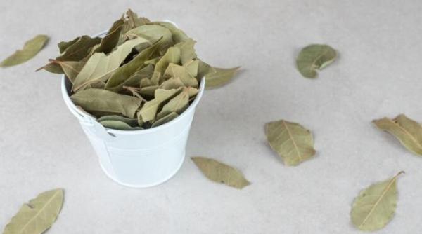 pune o frunza de dafin sub limba si vei scapa de o problema deranjanta