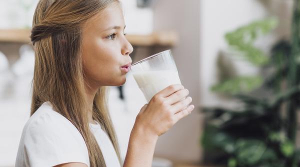 bem lapte din ungaria si polonia in timp ce producatorii romani dau faliment