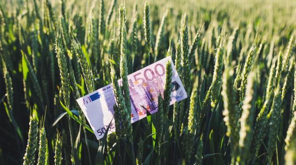 finantare de 200 000 de euro pentru tinerii fermieri ce conditii trebuie indeplinite