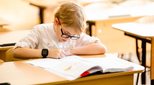 ligia deca despre noile teste anuale de alfabetizare functionala nu se pun note in catalog