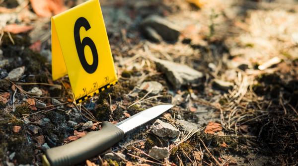 o fata de 12 ani injunghiata mortal in padure de doua tinere de aceeasi varsta