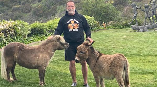 rutina de dimineata a lui arnold schwarzenegger mereu face asta dupa ce si bea cafeaua