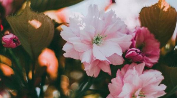 calendar crestin ortodox sarbatoare 16 martie 2023