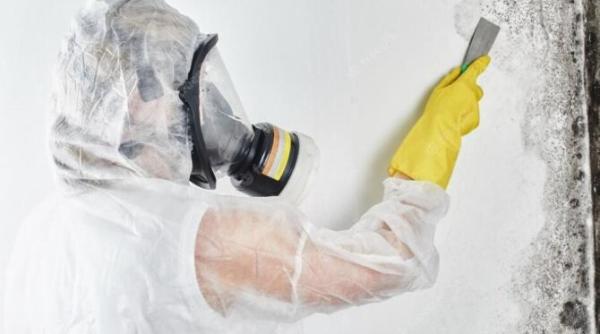 cum sa scapi definitiv de mucegai trucul care a ajutat zeci de gospodine iti poate fi de folos