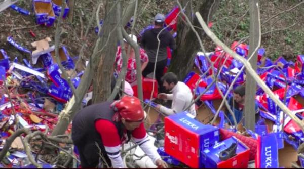 la cules de ardei gras si capia in padure