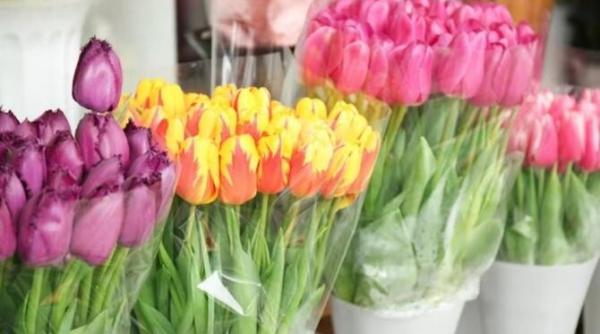 pastreaza lalelele taiate mai mult timp adauga acest ingredient in vaza