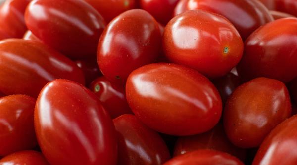 rosiile si castravetii legume de lux pe masa de pasti pretul tomatelor a bubuit in aceasta primavara