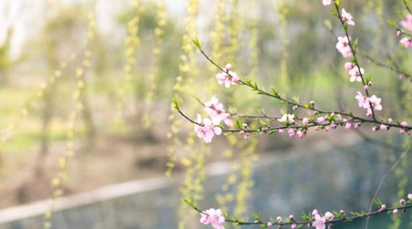 se incalzeste urmeaza temperaturi de 20 de grade in romania vesti bune de la anm