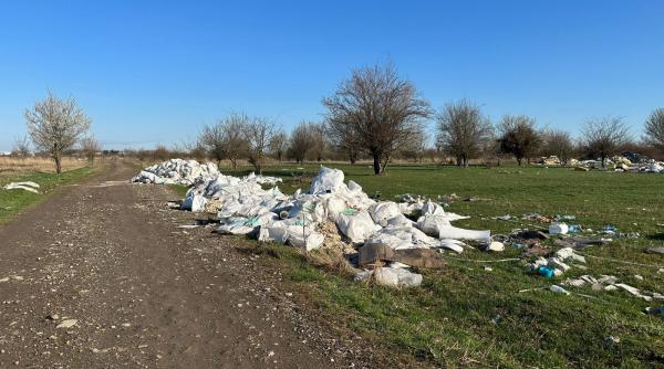 marcel ciolacu clotilde armand disputa pe facebook noaptea sectorul 1 e patria sobolanilor a mai ramas putin gunoi de ridicat dupa psd