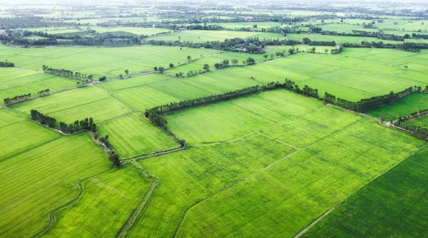 romania printre tarile cu cele mai mici arende din europa cat valoreaza un hectar de teren