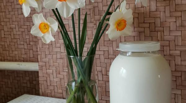 cum iti pot face rau produsele lactate risc crescut de diabet cancer de san si de prostata