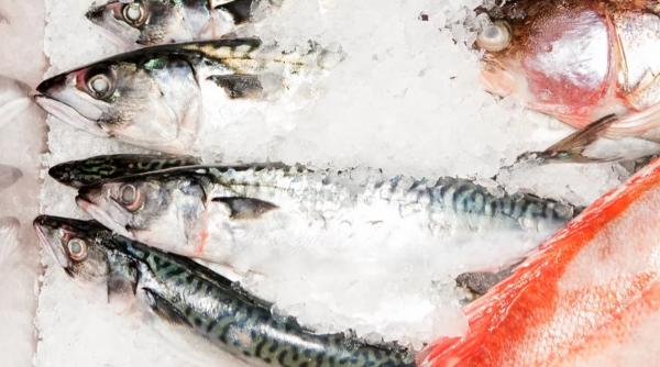 cum sa alegi pestele cel mai proaspat si de calitate