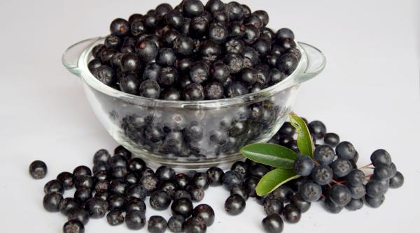 fructul de aronia beneficii nenumarate pentru sanatate tin bolile tiroidiene la distanta si purifica organismull