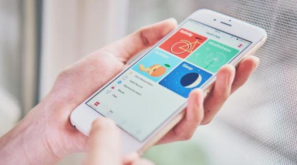 mobile browser vs mobile app care optiune ofera o experienta mai buna