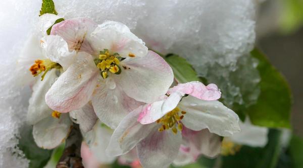 vine frigul dupa cel mai cald weekend din acest an diana giurgiu meteorolog anm cele mai scazute temperaturi vor cobori spre 7 grade